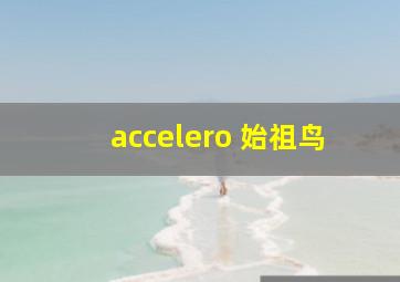 accelero 始祖鸟